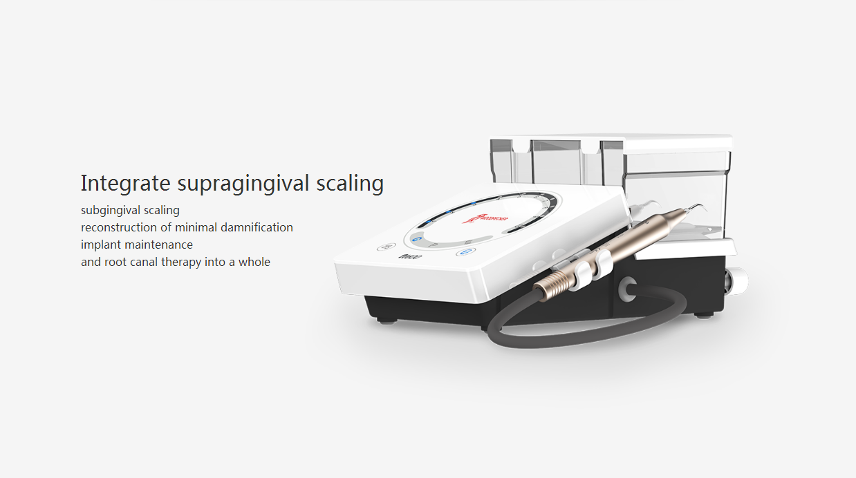 Scaler & Handstück