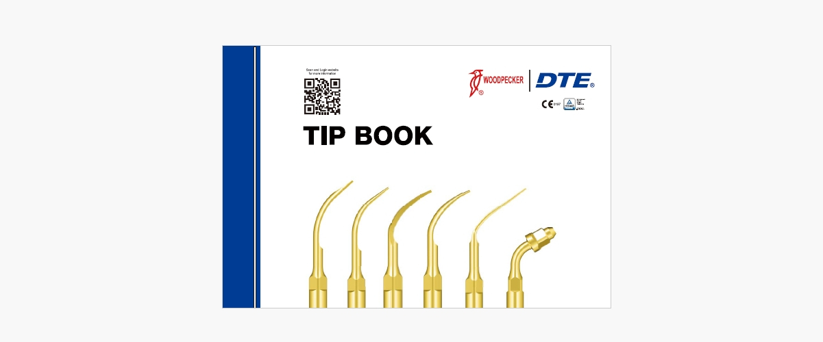 Woodpecker ZEG Spitzen