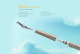 (Angebote!)Woodpecker Dental Scaler und Air Polisher AP-B,Elegantes Grau, schnelleres und bequemeres Scaling.CE/FDA