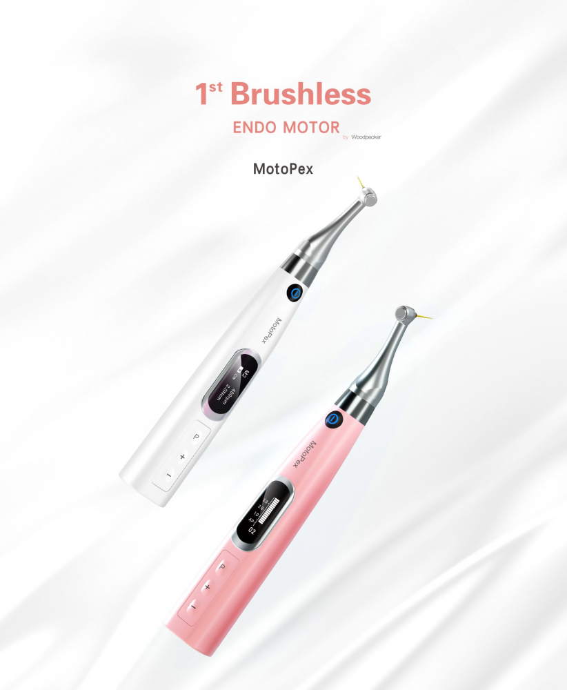(Aktion)woodpecker MOTOPEX, Hochleistungs-Brushless-Motor, 6: 1-Winkelstück, integrierter Apex-Locator!CE/FDA