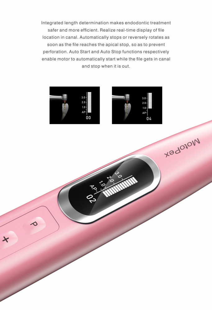 (Aktion)woodpecker MOTOPEX, Hochleistungs-Brushless-Motor, 6: 1-Winkelstück, integrierter Apex-Locator!CE/FDA