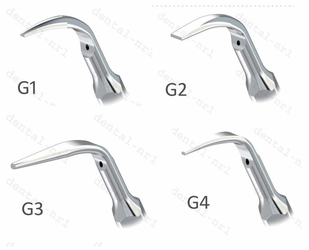 5Stk Spitze Tip G1/G2/ G3/G4/ G5/G6 /G7/G8/ G9, supragingival scaling, *EMS woodpecker kompatibel, CE/FDA