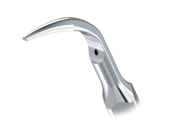 5Stk woodpecker ZEG Spitze GD1, GD2, GD3, GD4, GD5,,,, GD11 ,DTE Serie,scaling tip ,CE/FD