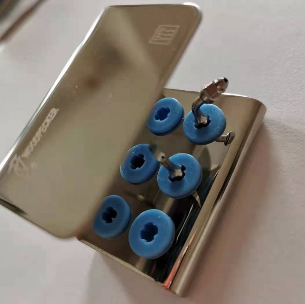 WOODPECKER ZEG/Piezo Spitzenhalter 6st Spitzen