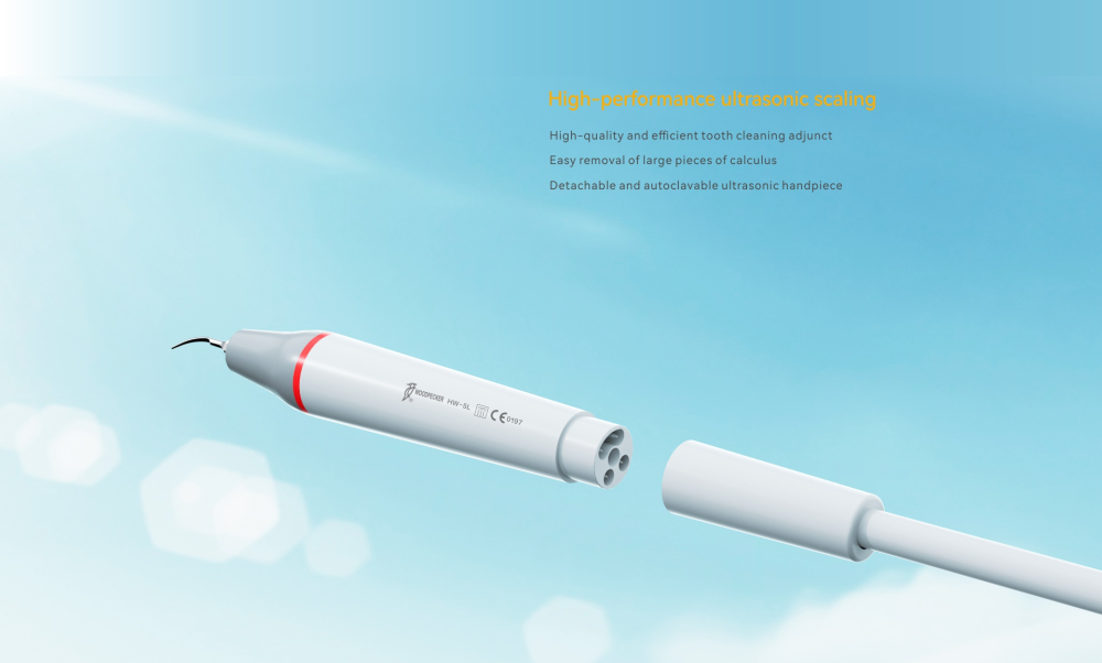 (Angebote!)Woodpecker Dental Scaler und Air Polisher AP-B,Elegantes Grau, schnelleres und bequemeres Scaling.CE/FDA