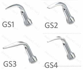 1st WOODPECKER Spitze Tip GS1/GS2/GS3/GS4/GS5/GS6 Serie ,*Sirona compatible CE/FDA