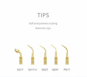 (Jahresendaktion)DTE-V3 LED,built-in scaler woodpecker dental Ultraschall-Scaler ,DTE Serie kompatibel,CE/FDA