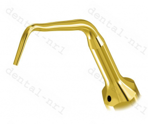 Endodontie Spitze UE1/ UE2/ UE3/ UE4 für woodpecker/ mectron ultrasurgery,CE/FDA
