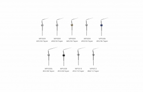 Woodpecker Guttapercha-Obturationssystem Fi-P,0.2s Aufheizzeit,0.35mm vorgebogene Spitze. CE/FDA
