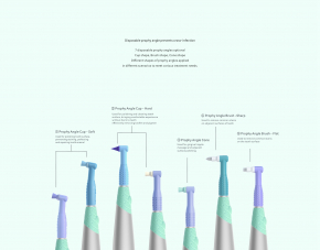 Woodpecker Polierbürste für K-Po,Gemischter 7er-Pack,Einweg-Prophylaxewinkel,mit *Pacdent kompatibel,CE